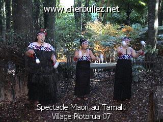 légende: Spectacle Maori au Tamaki Village Rotorua 07
qualityCode=raw
sizeCode=half

Données de l'image originale:
Taille originale: 163440 bytes
Temps d'exposition: 1/50 s
Diaph: f/180/100
Heure de prise de vue: 2003:02:28 17:38:16
Flash: non
Focale: 47/10 mm
